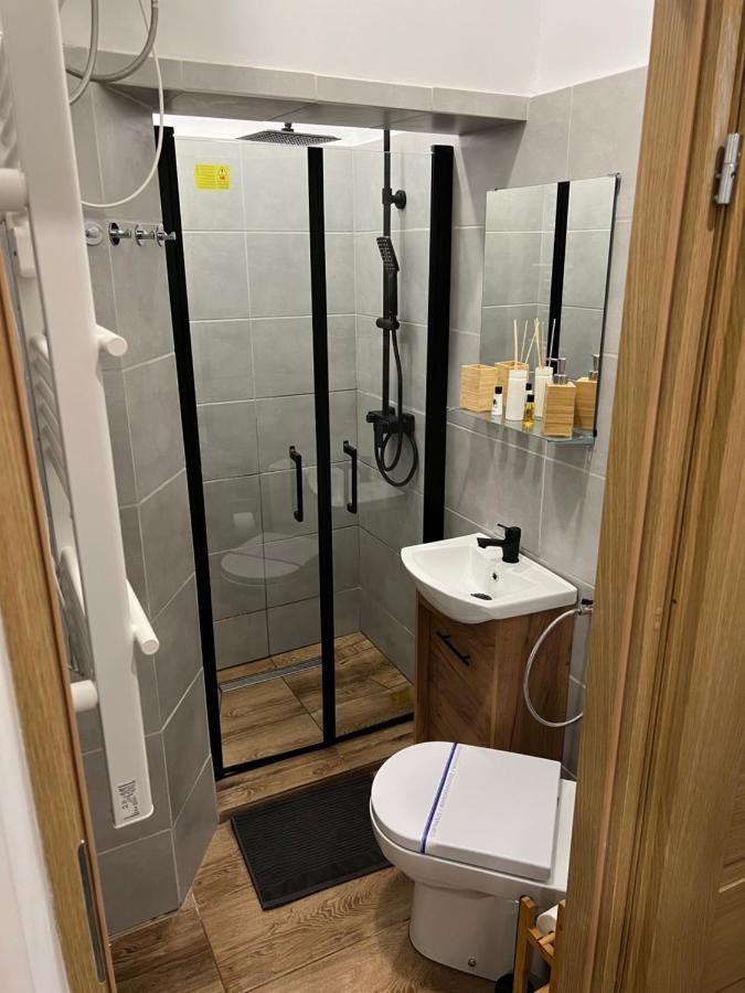 Paris Apartments Катовице Екстериор снимка